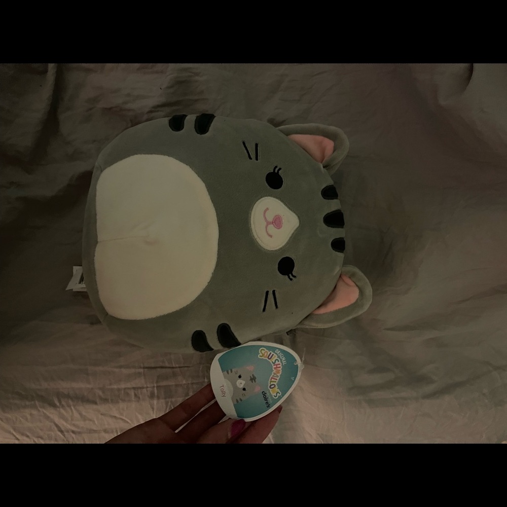 Tally squishmallow